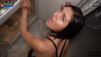 Leads her on a leash to the pecker and make her suck - 1winporn. Top Pornstars Bdsm Hardcore.